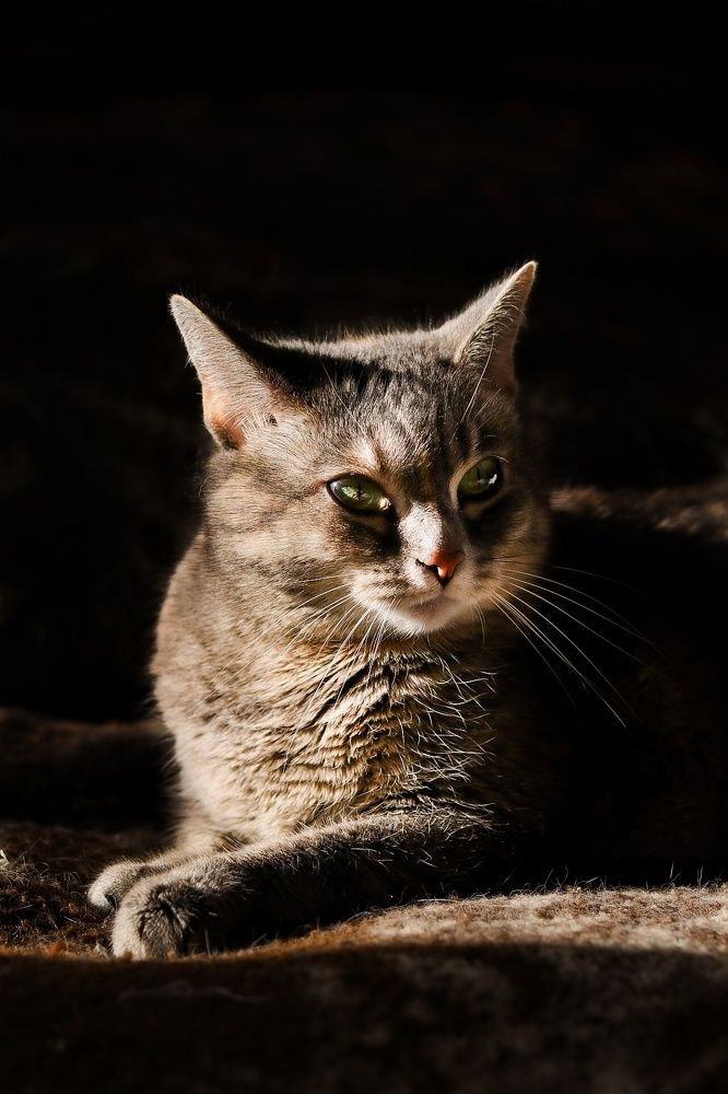 Photograph by Frolova Nataliya