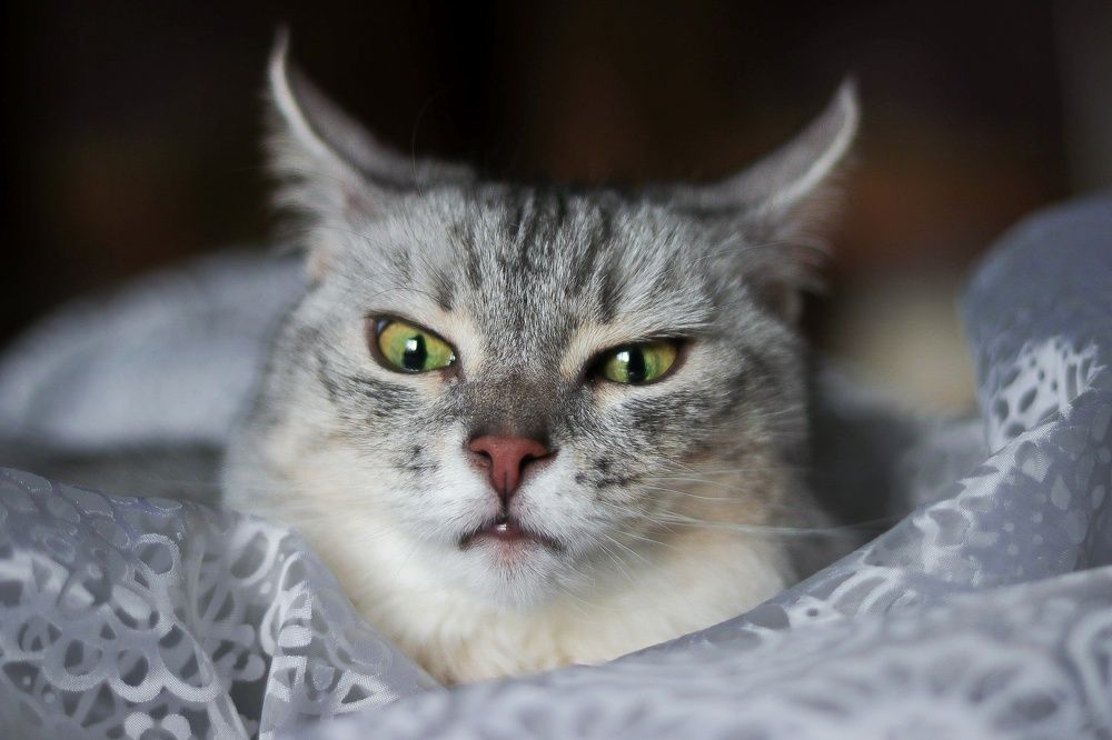 Photograph by Frolova Nataliya