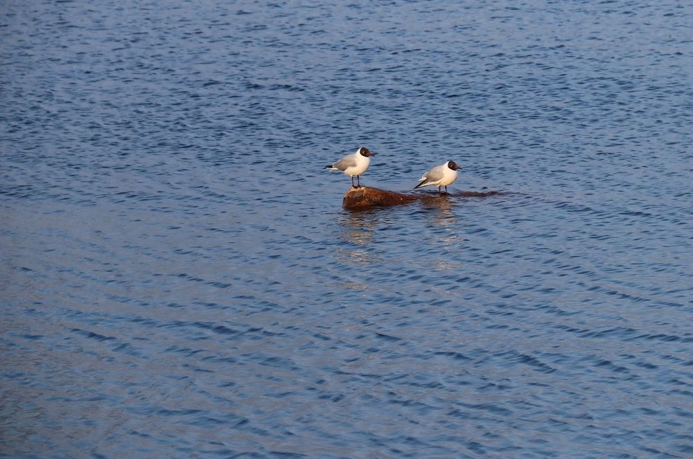 Photograph by Frolova Nataliya