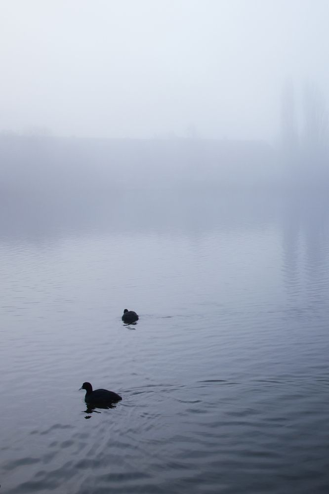 Photograph by Iuliia Dumchenko