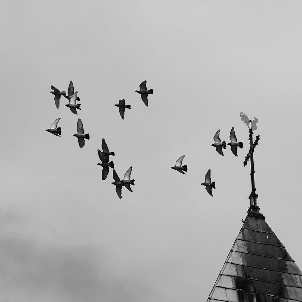 Photograph by Iuliia Dumchenko