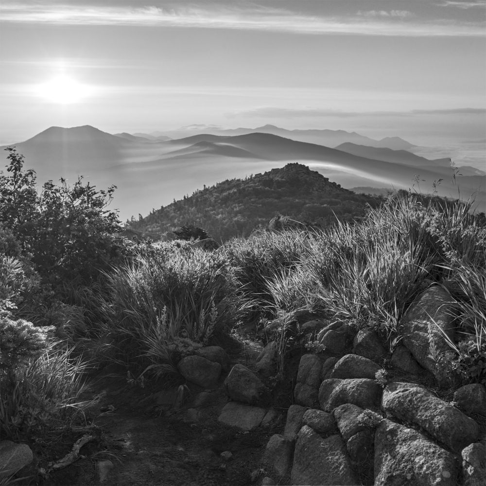 Photograph by Кузнецов Александр