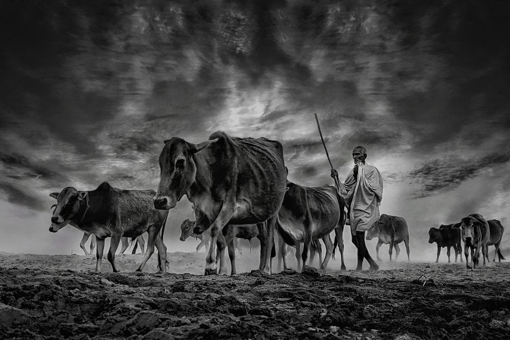 Photograph by PRADIPTAMOY PAUL