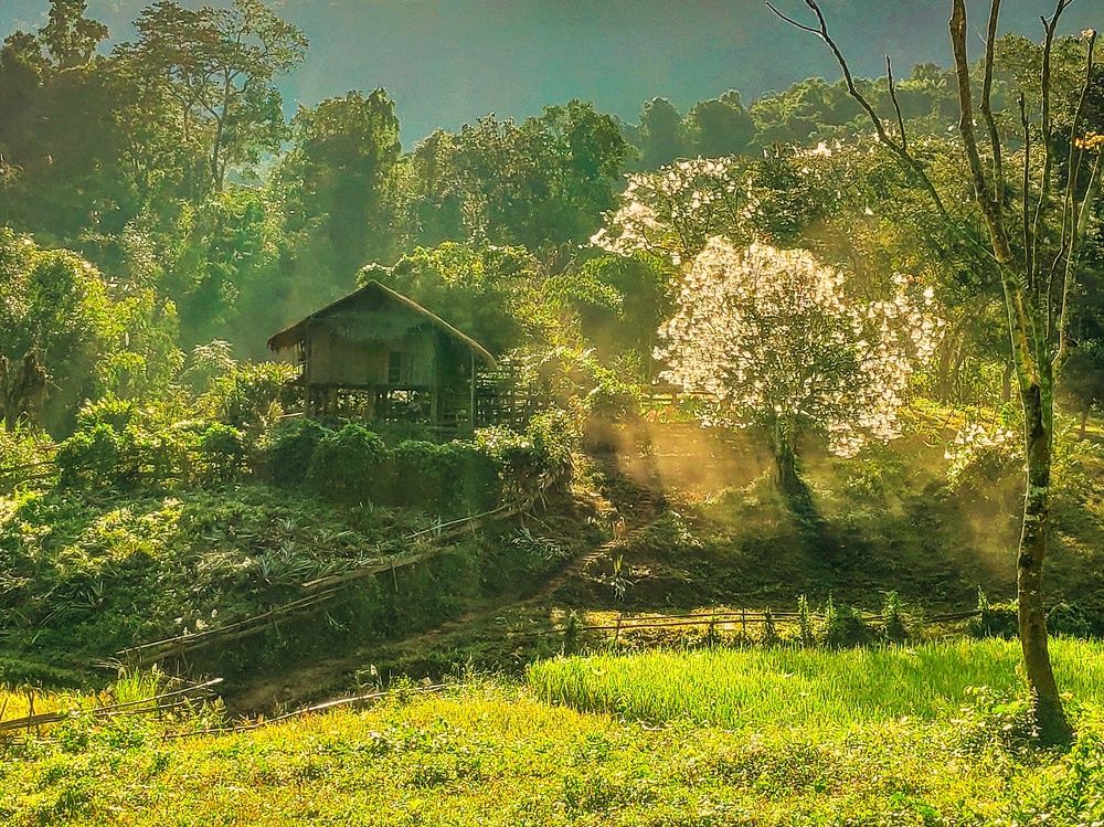 Photograph by ZawZaw