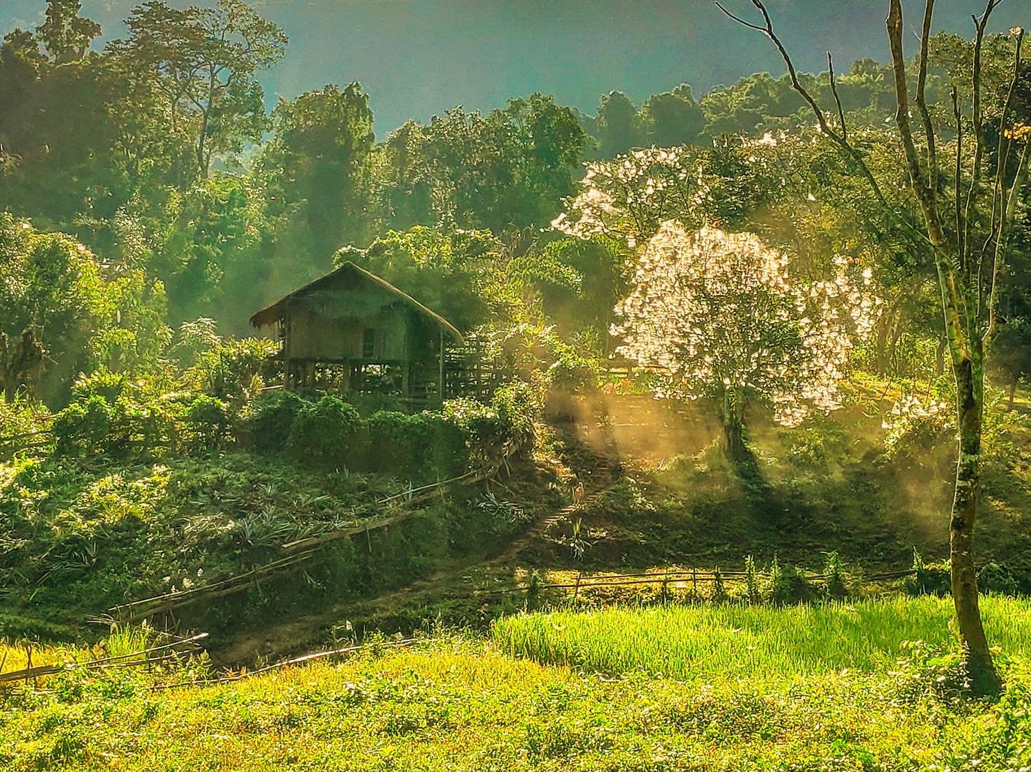 Photo #7578229