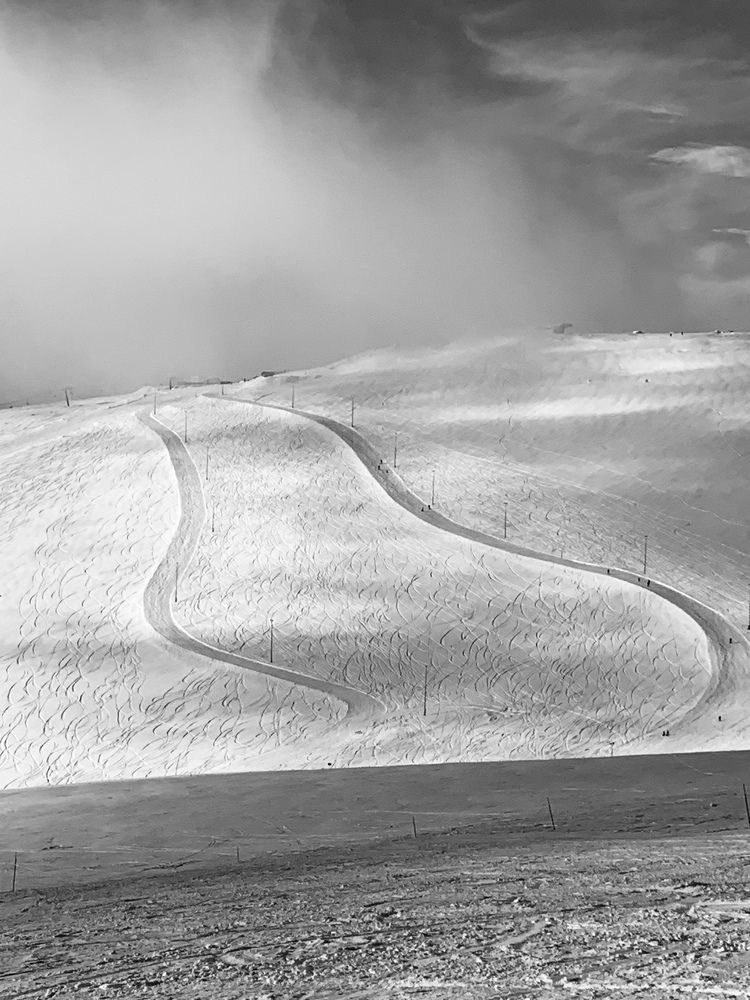 Фотография автора Юлия Недосекина