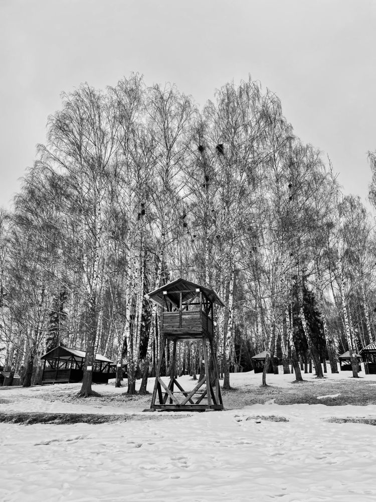 Фотография автора Юлия Недосекина