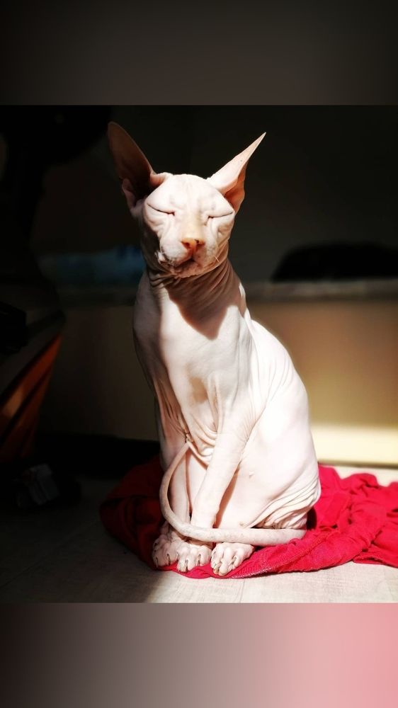 Photograph by Юлия Гагарина