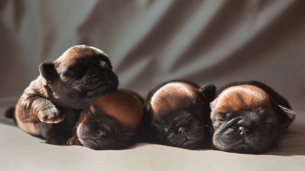 Photograph by Ольга Сафонова