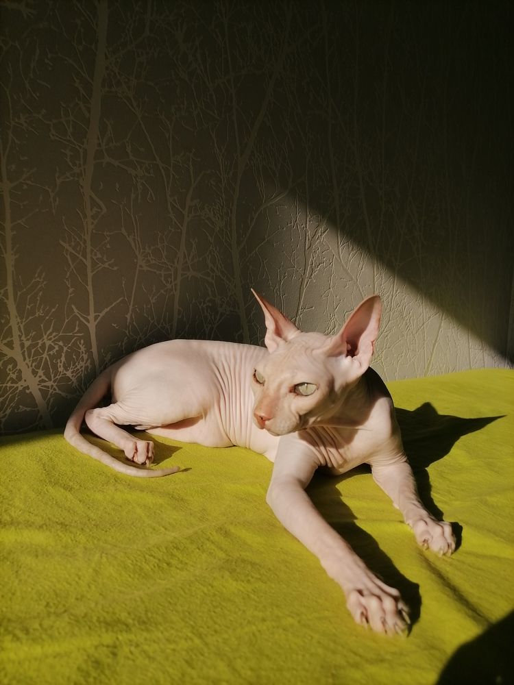 Photograph by Юлия Гагарина