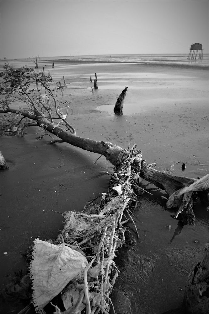 Human waste is destroying nature