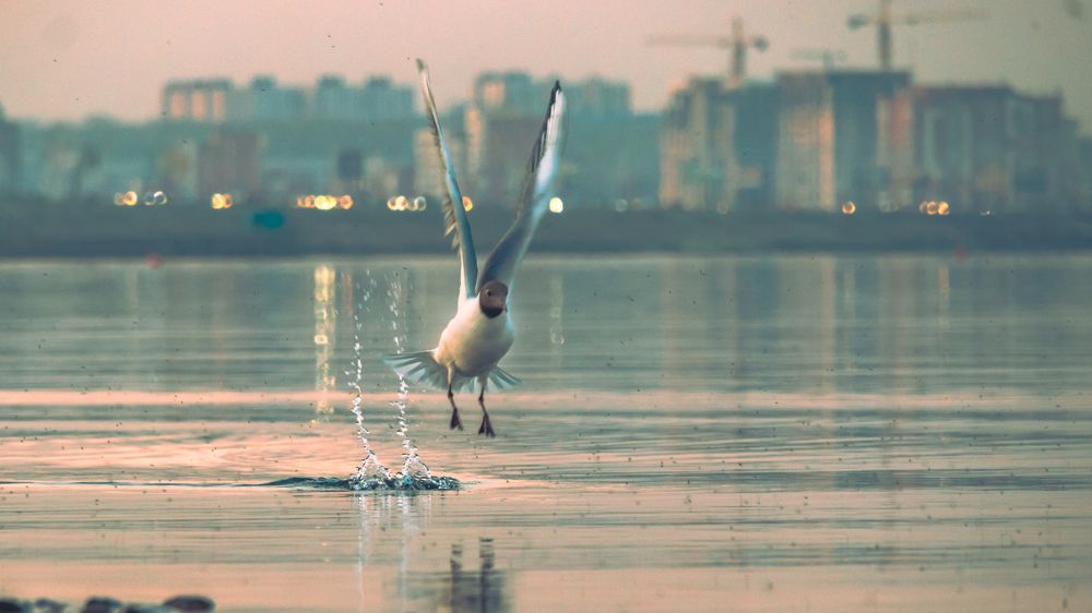 Photograph by Кузьмин Евгений