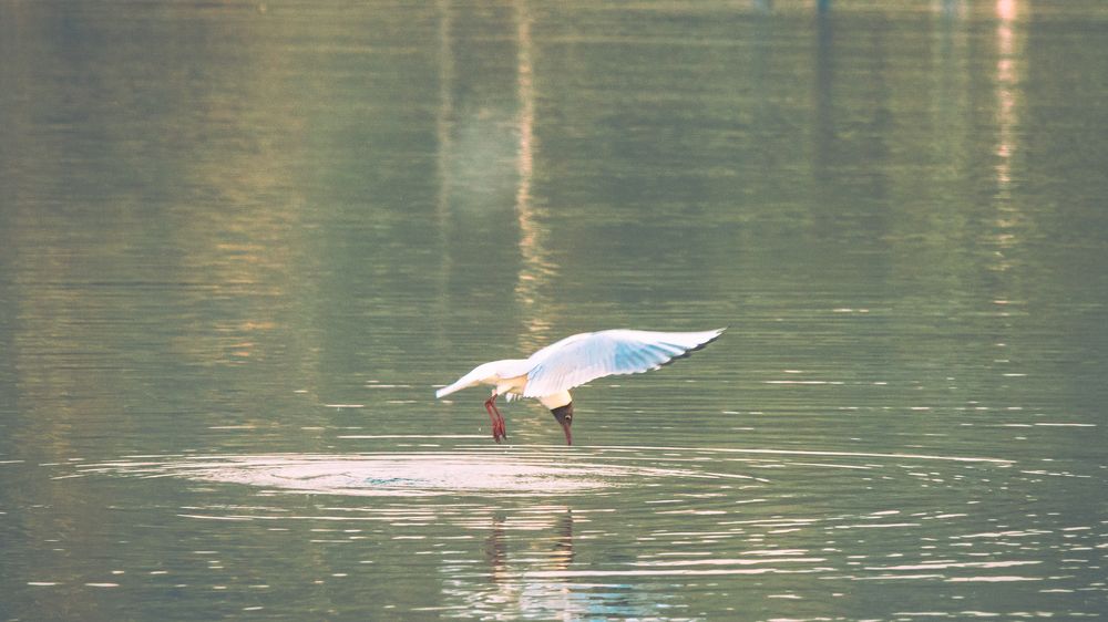 Photograph by Кузьмин Евгений