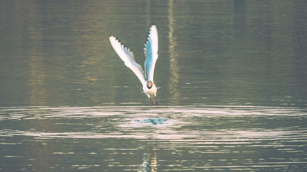 Photograph by Кузьмин Евгений