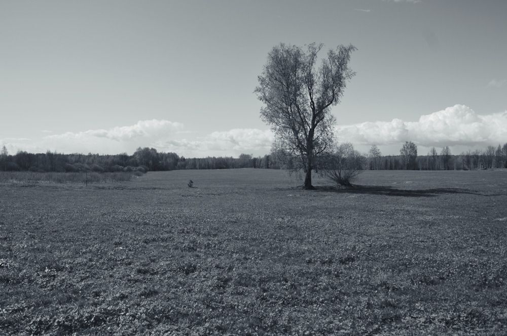 Photograph by Юрий Подвойский