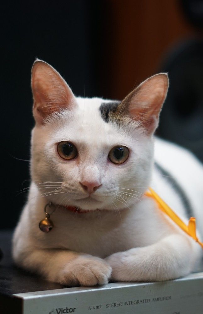 Photograph by Ngo Duy Minh Triet