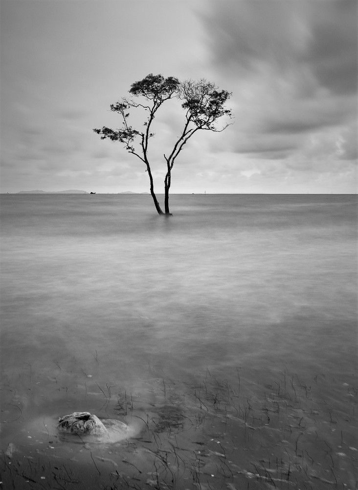 Photograph by Ngo Duy Minh Triet