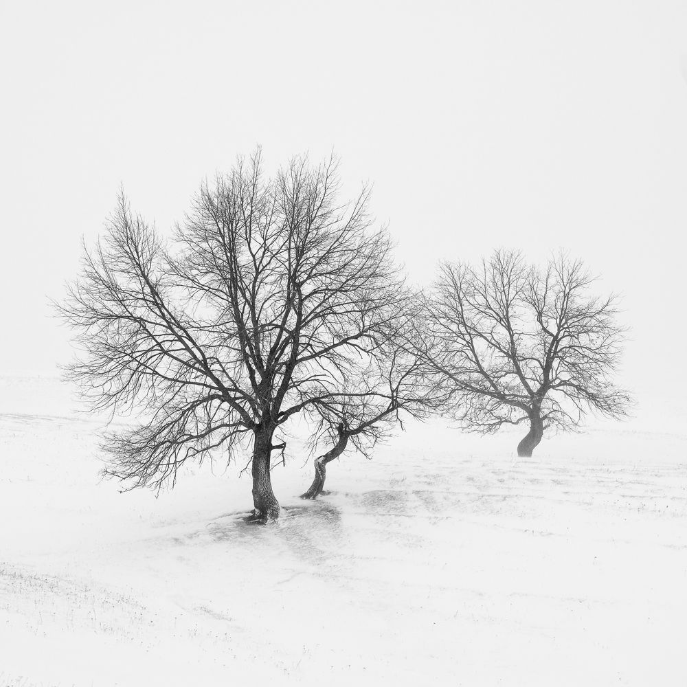 Фотография автора Евгений Иванов
