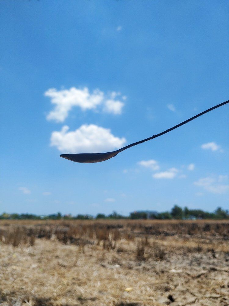 Photograph by Ngo Duy Minh Triet