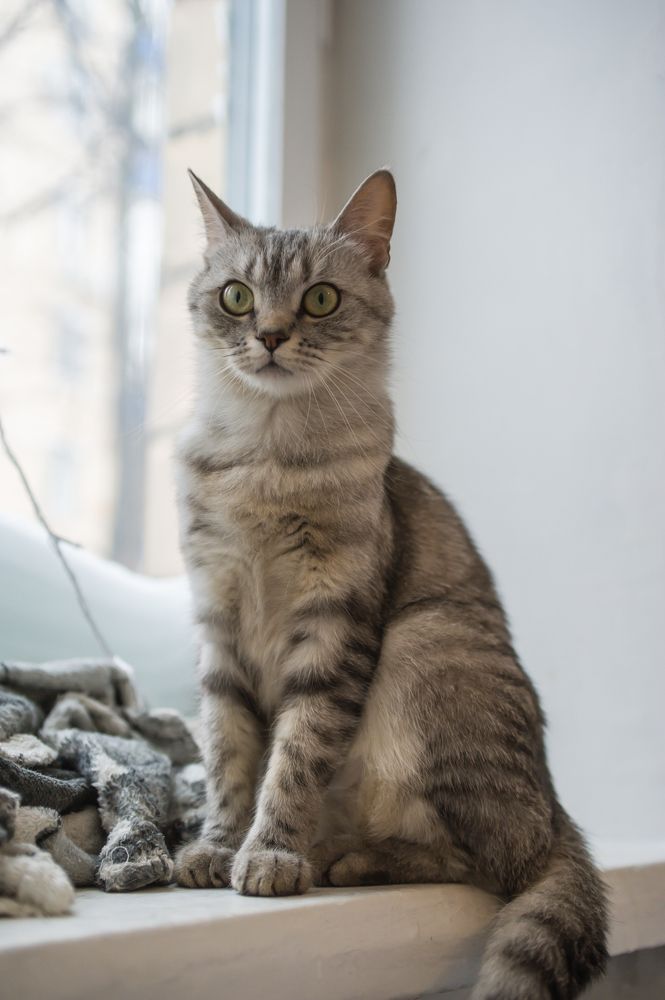 Photograph by Леонид