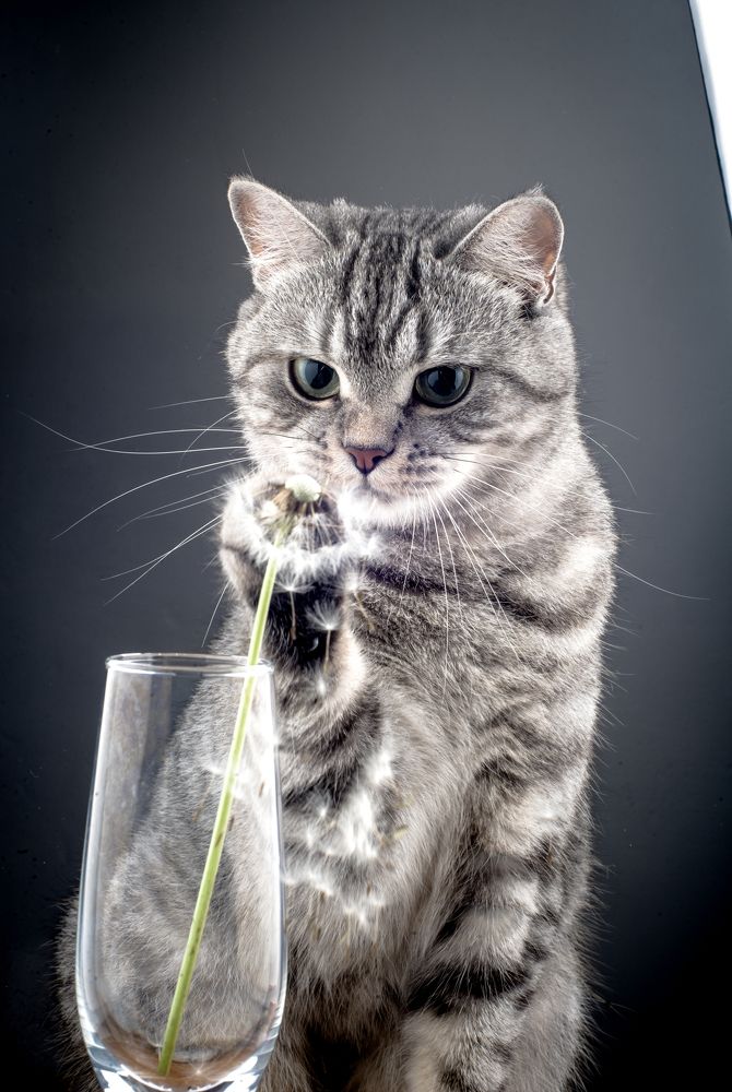 Photograph by Леонид