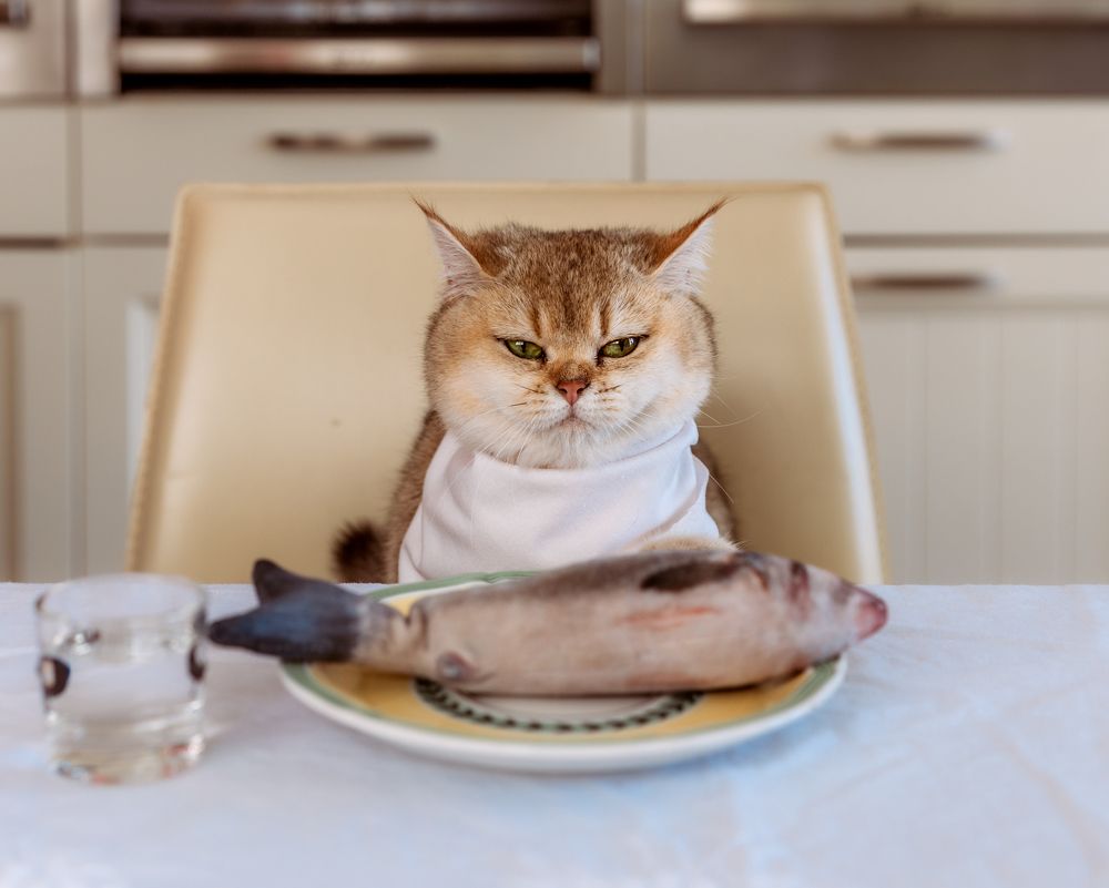 Photograph by Elena Vill