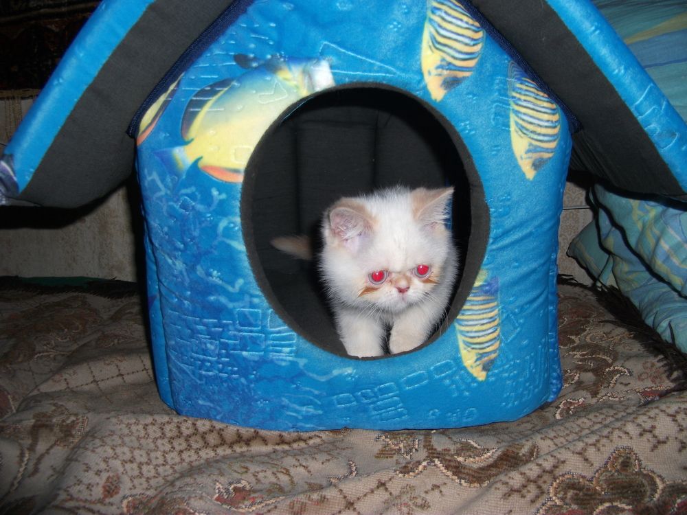 Photograph by Злата Иванченко