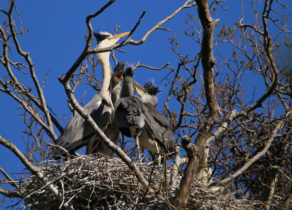 Photograph by Михаил Хромов