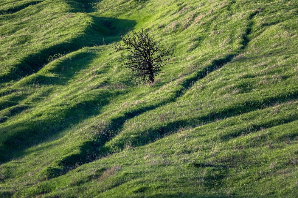 Photograph by Павел Абакумов