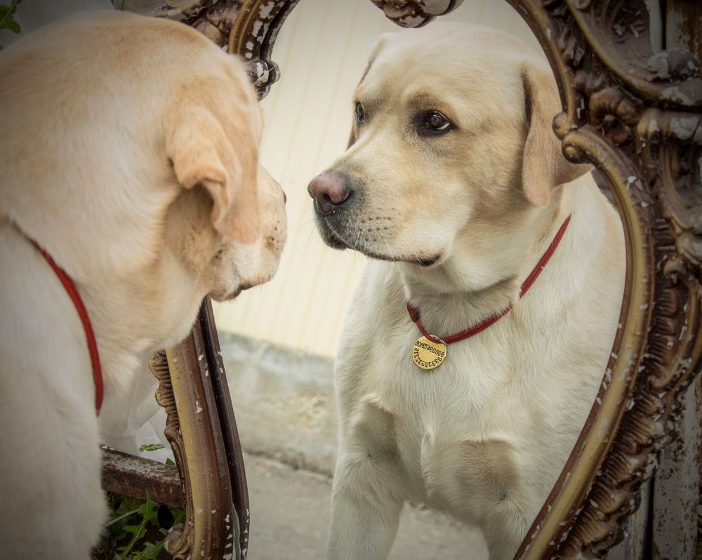 Photograph by Олеся Бекк