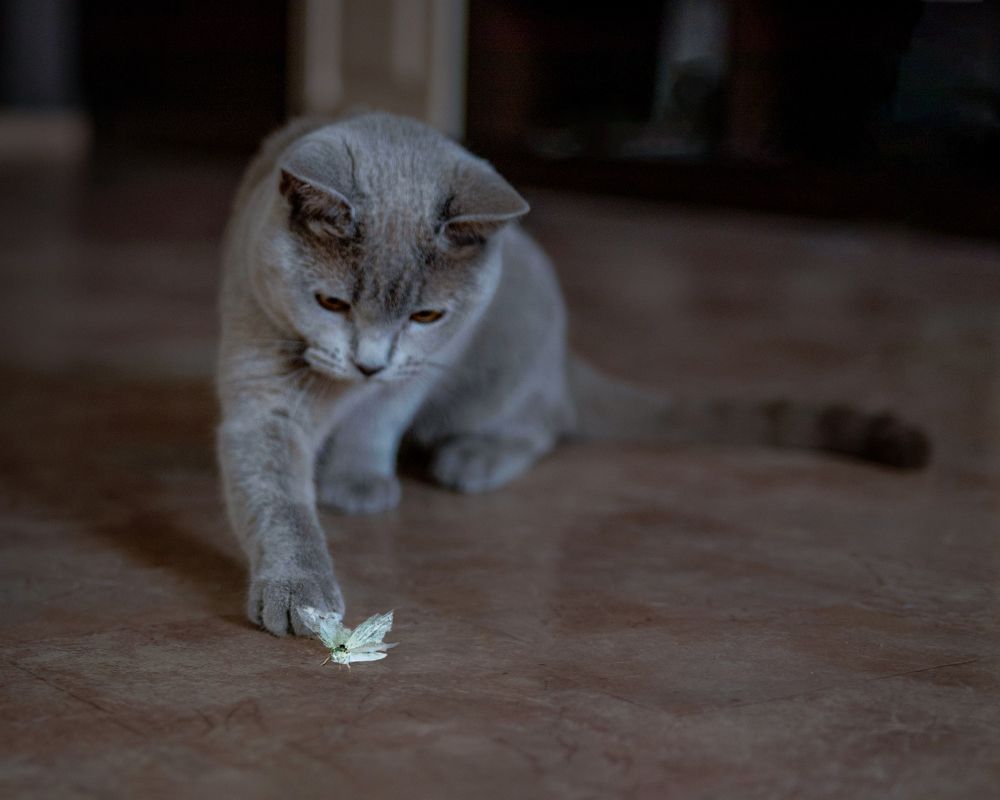 Photograph by Олеся Бекк