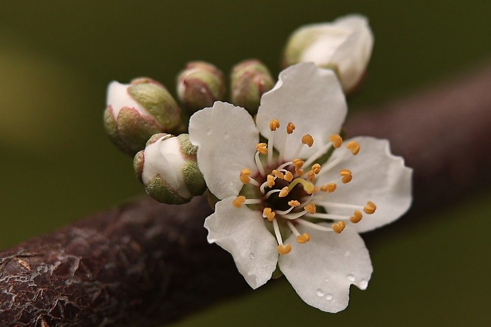 Photograph by Елена Одынец