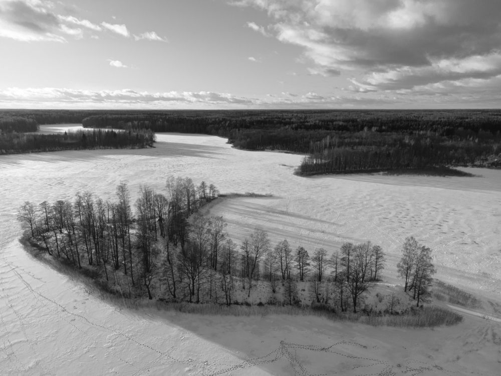 Photograph by Дмитрий Котов