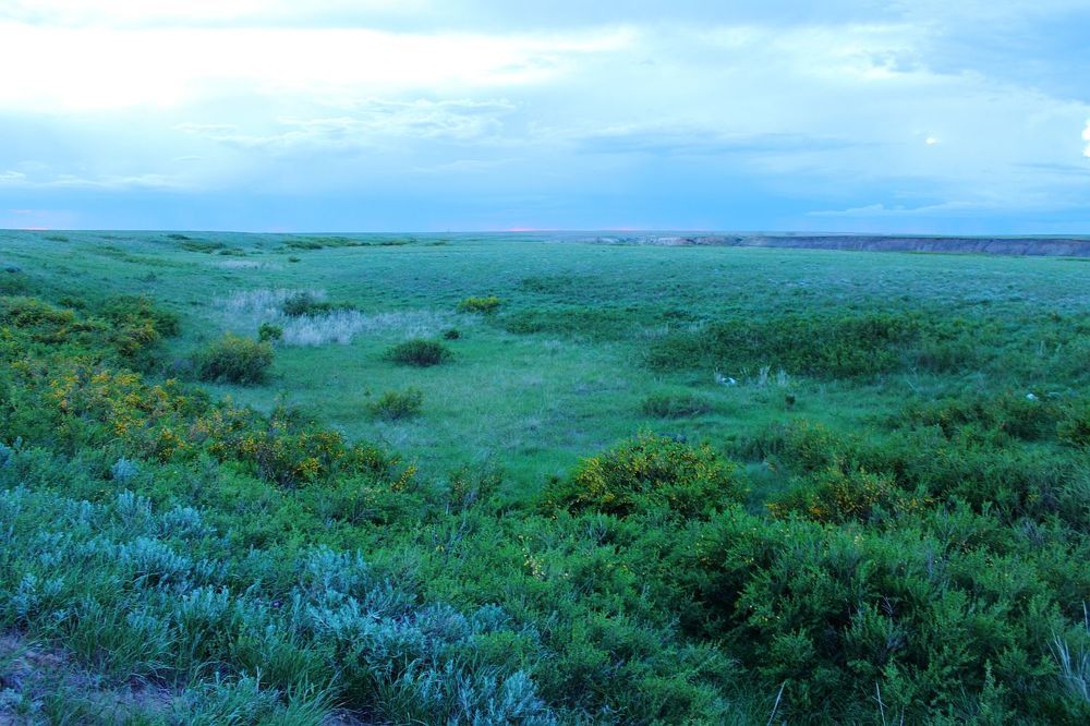 Photograph by Юрий Варюхин