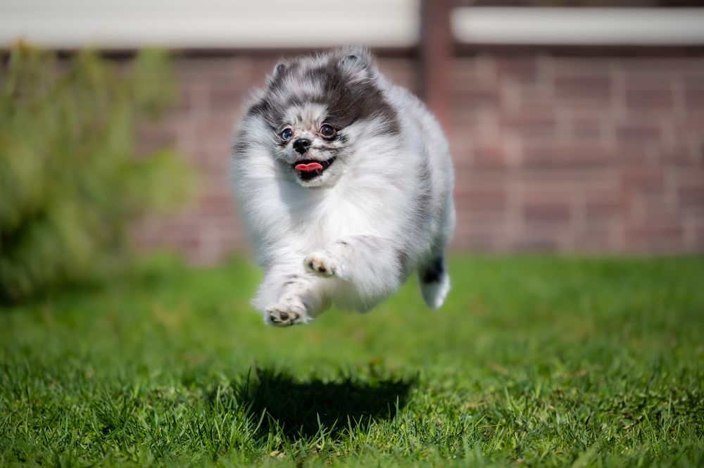 Photograph by Иван Грачев