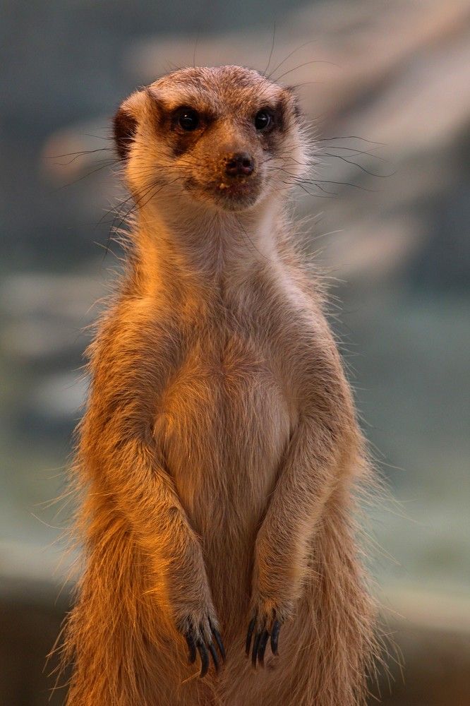 Photograph by Galina Tsmyg