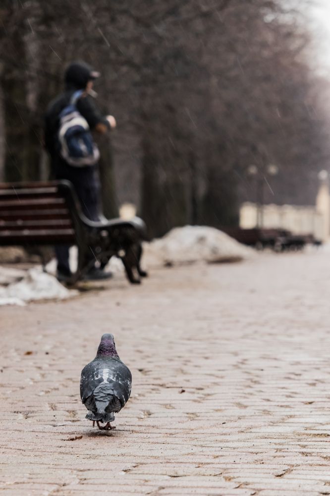 Photograph by Мария Тёмкина