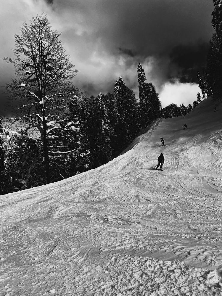 Фотография автора Ксения Шамсудинова