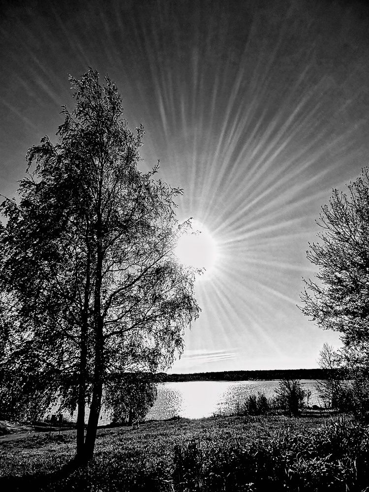 Photograph by Мария Тёмкина