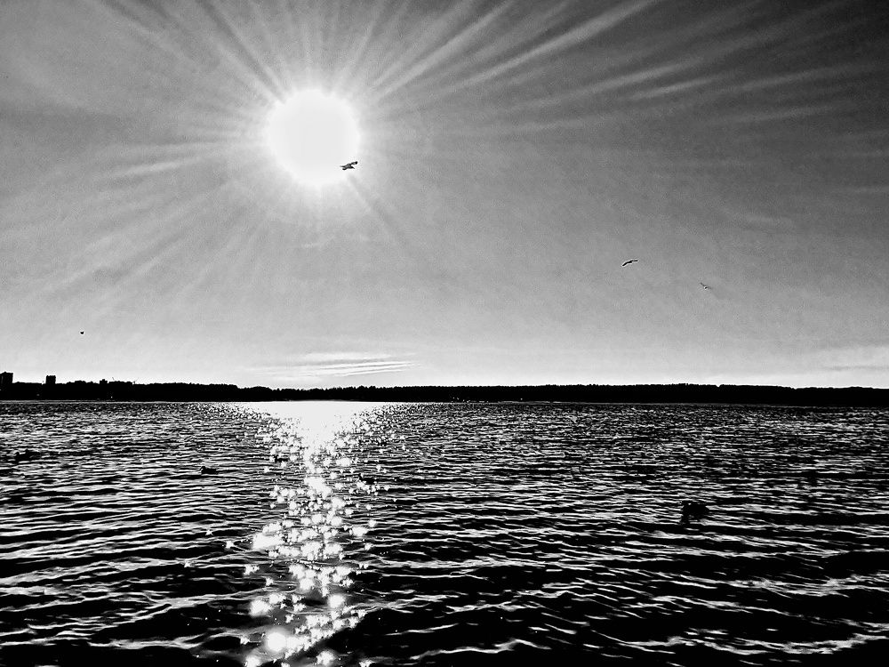 Photograph by Мария Тёмкина