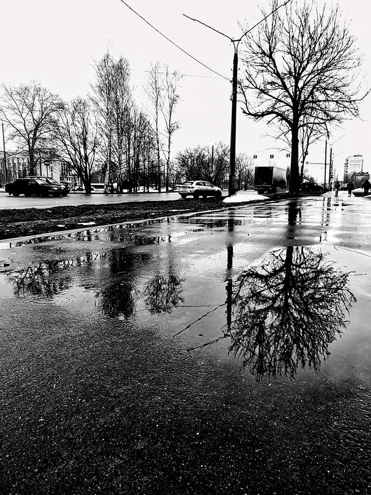 Photograph by Мария Тёмкина