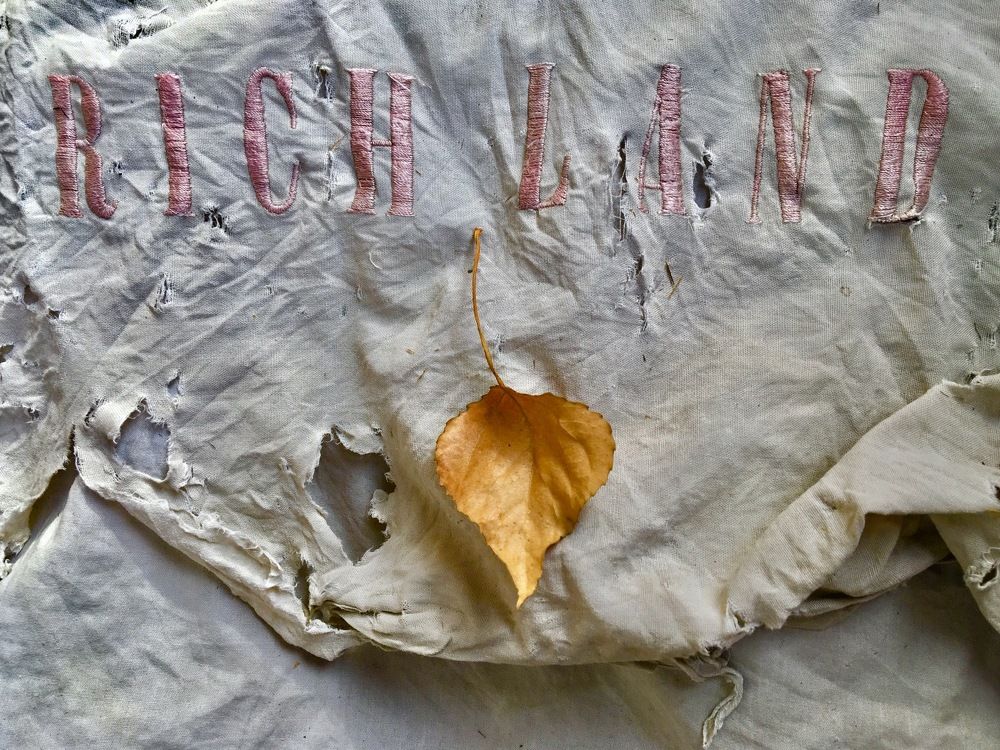 Photograph by Елена Ким