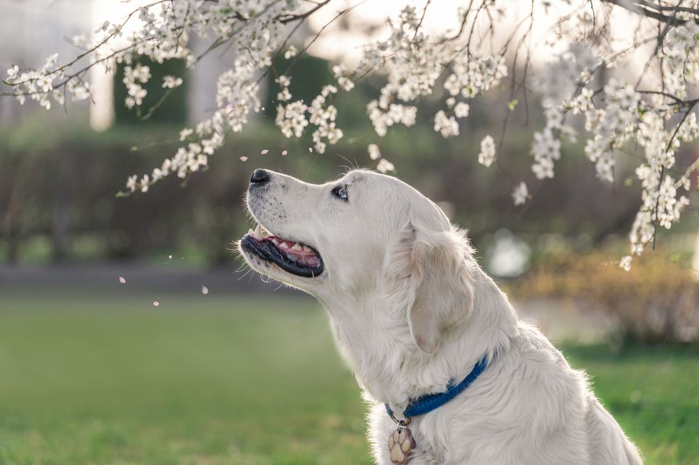 Photograph by Анастасия Мельник