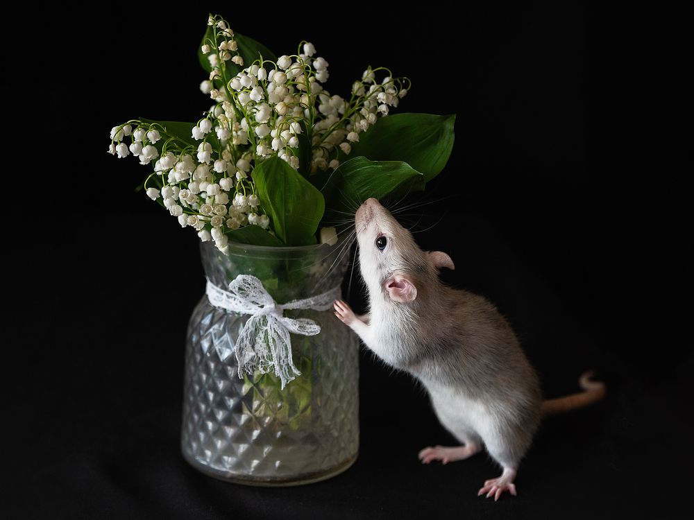 Photograph by Анастасия Мельник