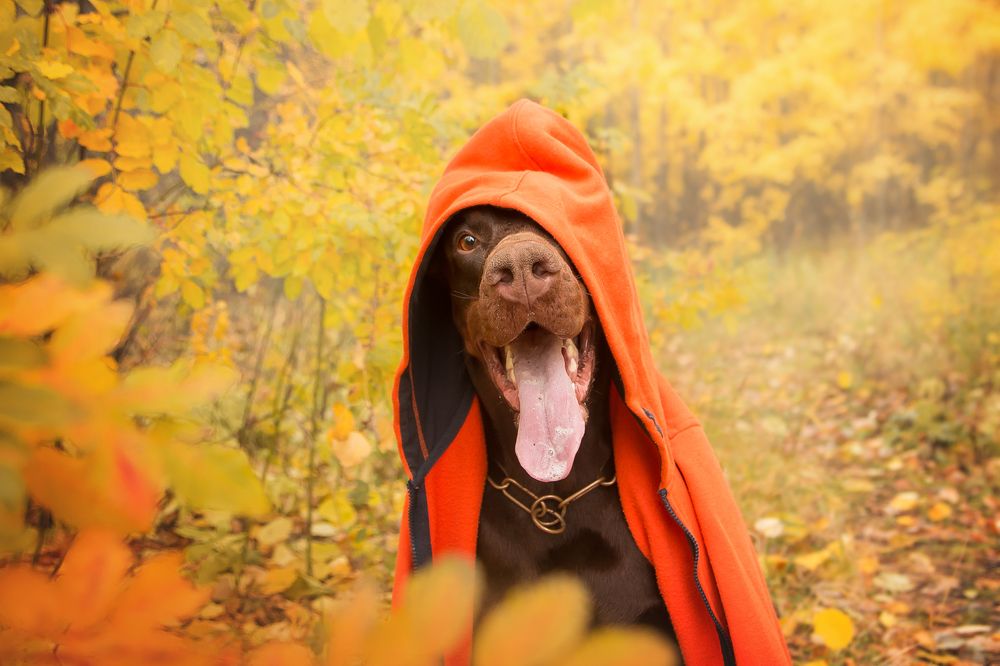 Photograph by Виктория Мамаева