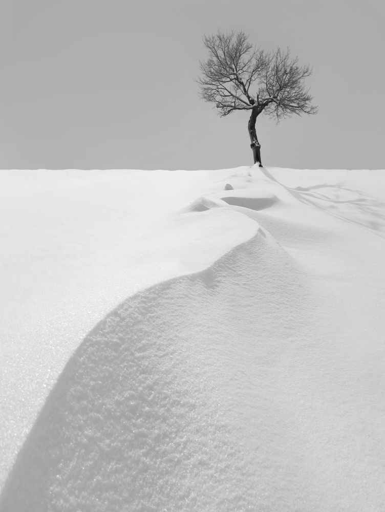 Photograph by Hosein Davoodi