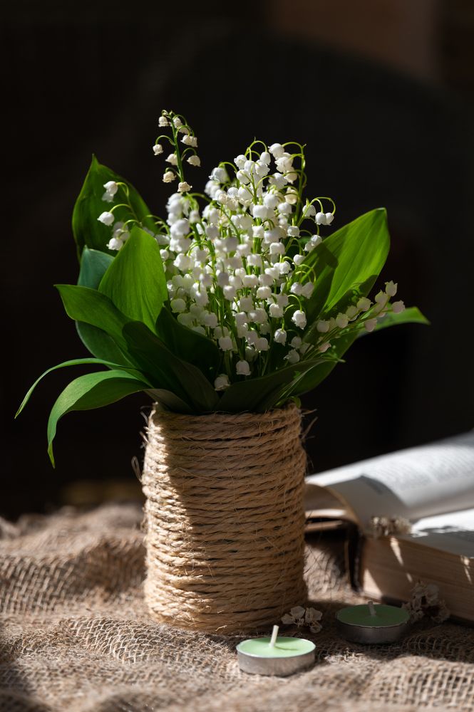 Photograph by Анастасия Мельник