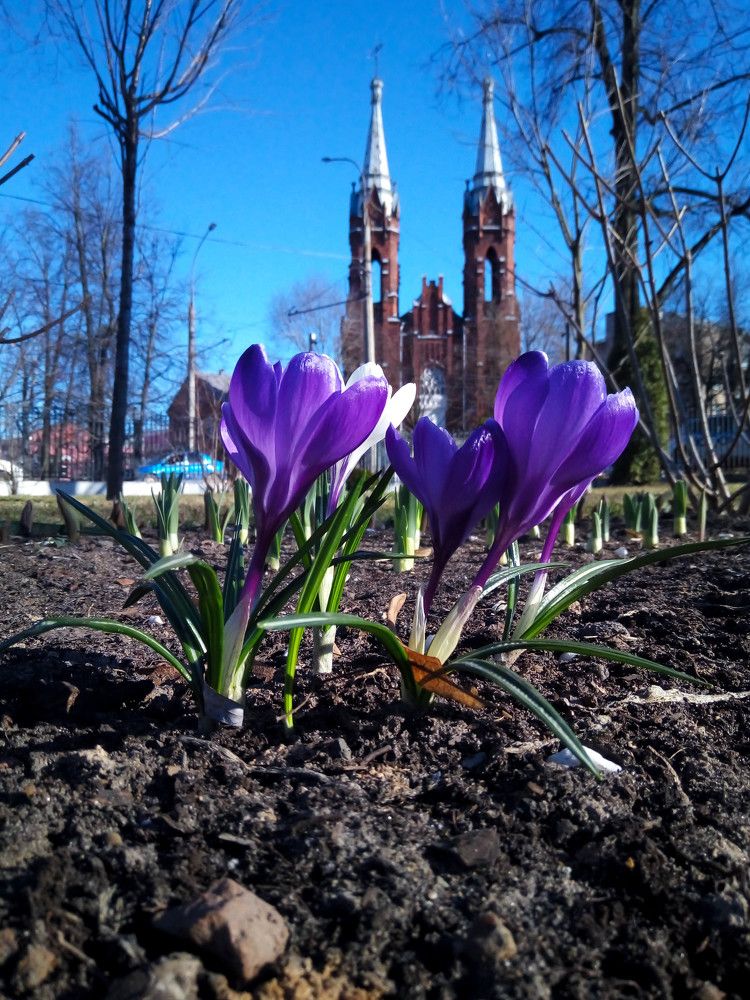 Photograph by Lubov Klepikovskaya