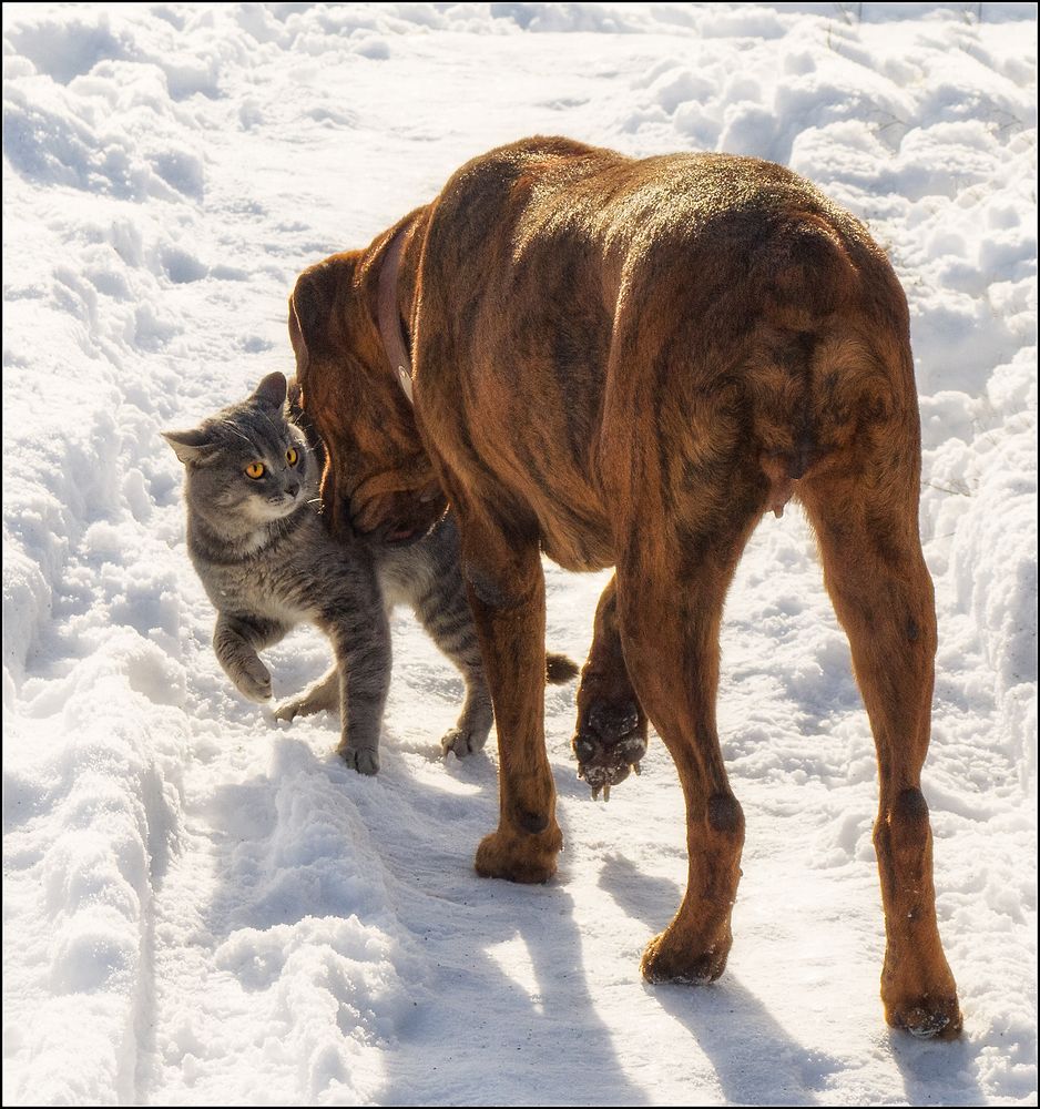 Photograph by Елена Потемина