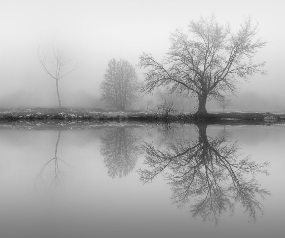 Photograph by Hosein Davoodi